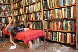 Reading on Couch